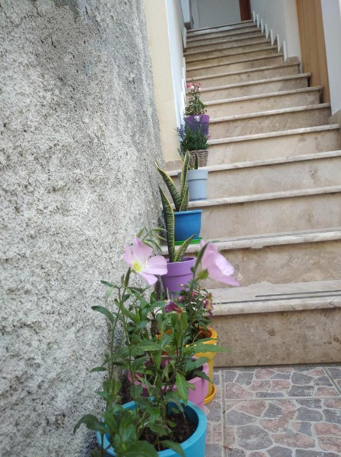 Villa Vasili Skiathos-Stadt Exterior foto